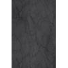 5779 Verona Ash