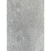 5893 Troy Silver