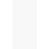 9801 Argent white