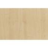 5006 Thansau maple